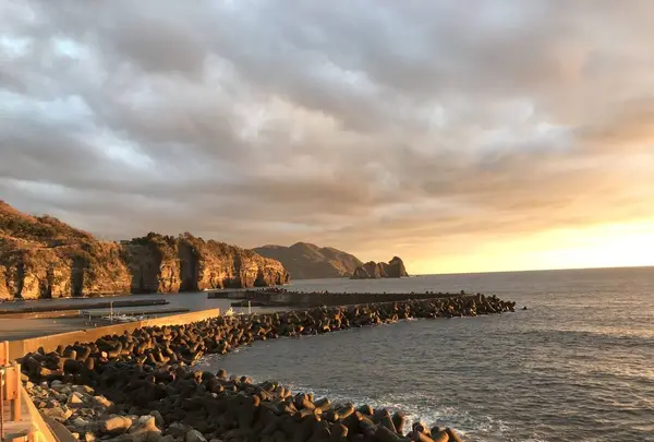 伊浜の写真・動画_image_333907