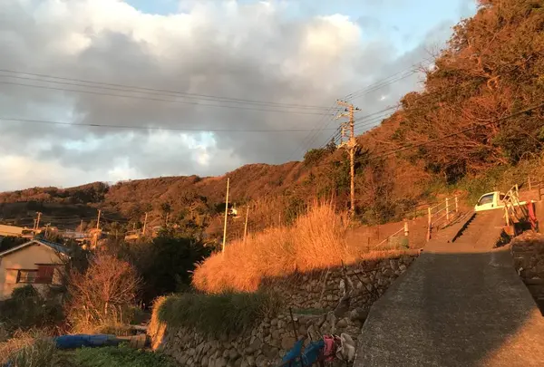 伊浜の写真・動画_image_333908