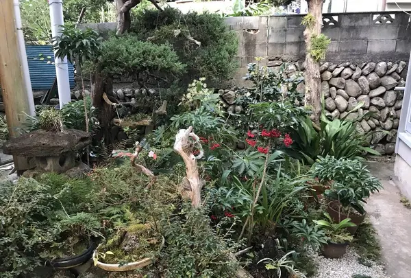 めぐみ荘の写真・動画_image_333939