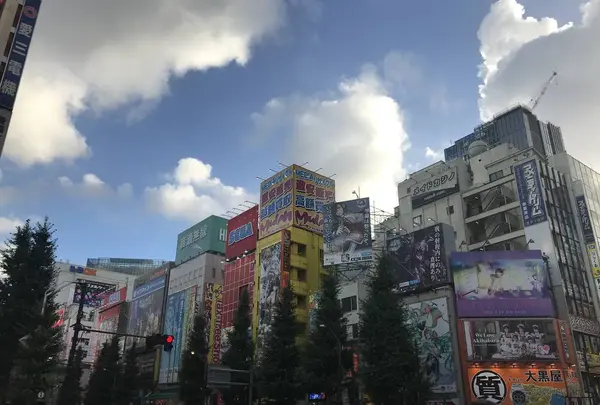 秋葉原の写真・動画_image_333959