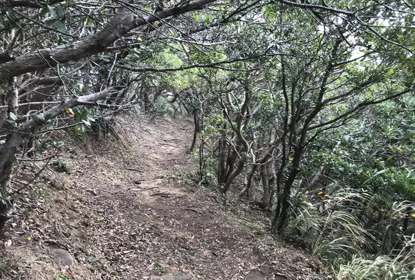 子浦三十三観音の写真・動画_image_333987