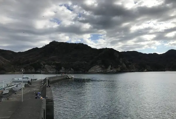 子浦三十三観音の写真・動画_image_333996