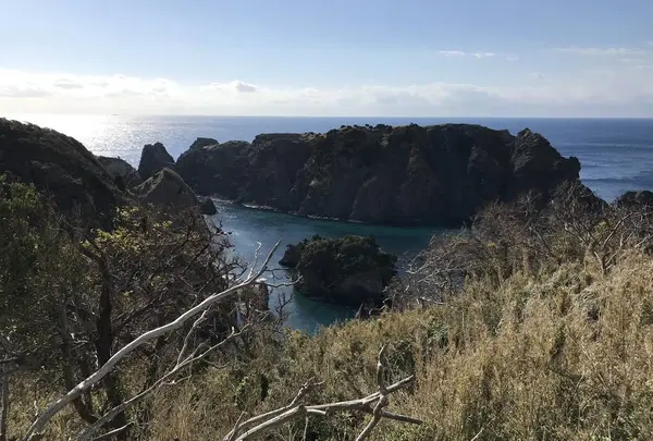 奥石廊海岸の写真・動画_image_334016