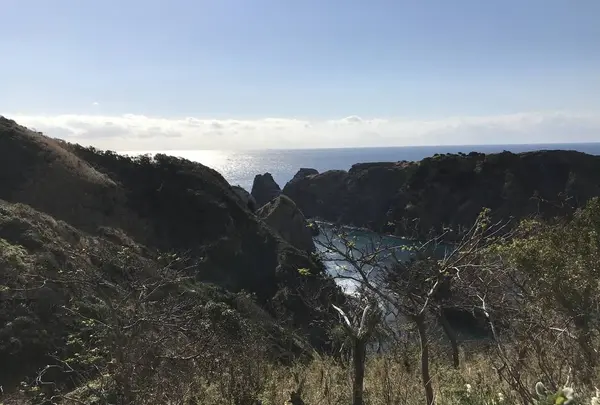 奥石廊海岸の写真・動画_image_334017