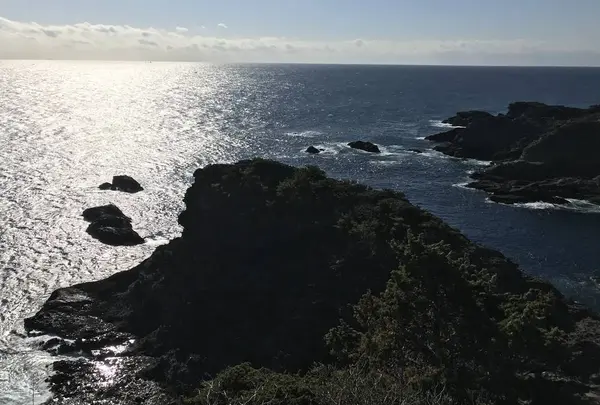 石廊崎の写真・動画_image_334043