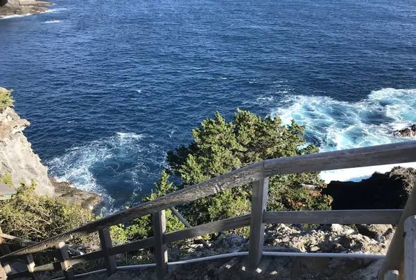 石廊崎の写真・動画_image_334048