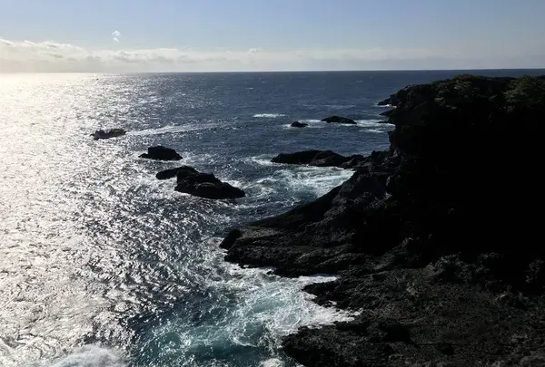 石廊崎の写真・動画_image_334050