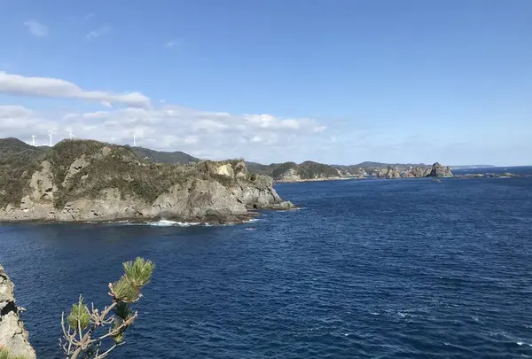 石廊崎の写真・動画_image_334052