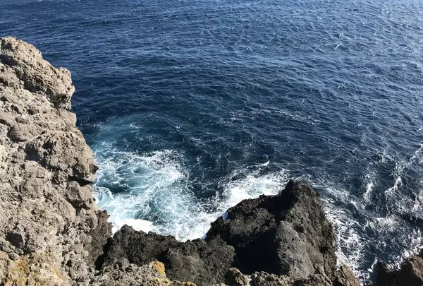 石廊崎の写真・動画_image_334055