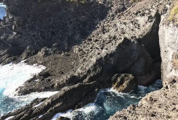 石廊崎の写真・動画_image_334057