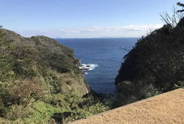 石廊崎の写真・動画_image_334059