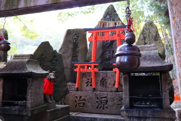 伏見稲荷大社の写真・動画_image_334155