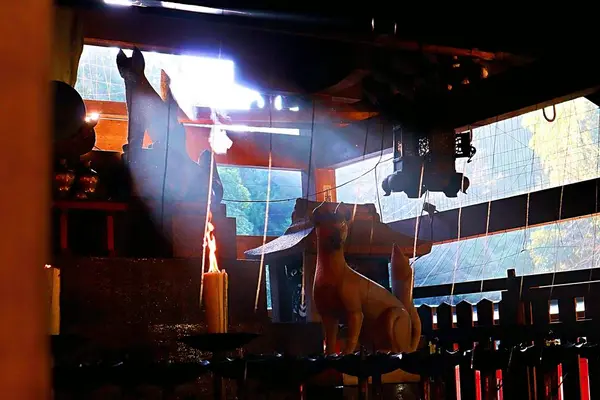 伏見稲荷大社の写真・動画_image_334156