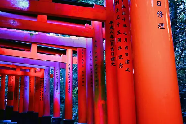 伏見稲荷大社の写真・動画_image_334157