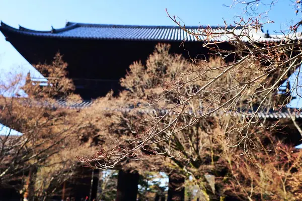 南禅寺の写真・動画_image_334172