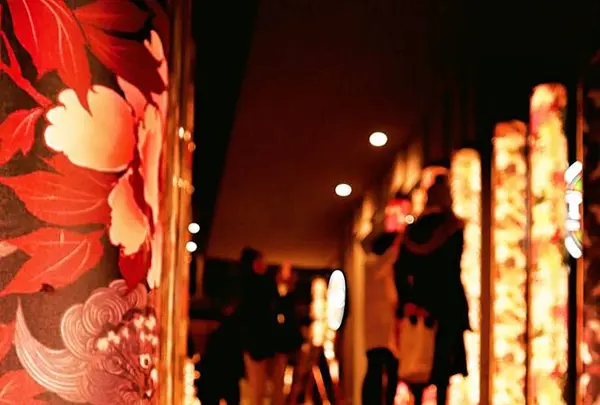 キモノフォレストの写真・動画_image_334175