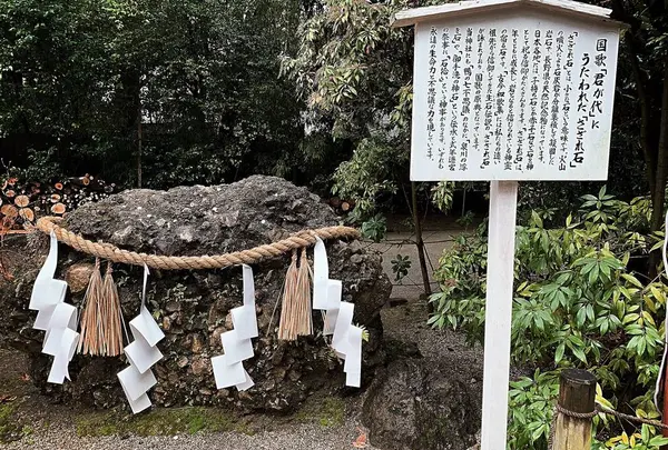 下鴨神社（賀茂御祖神社）の写真・動画_image_334243