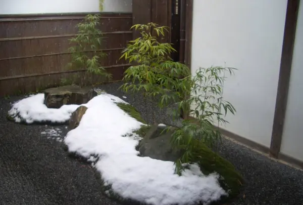 三千院の写真・動画_image_334351