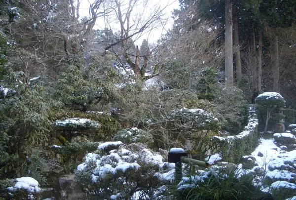 三千院の写真・動画_image_334353