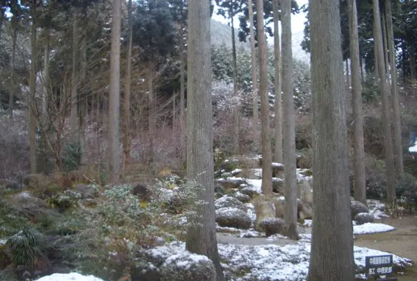 三千院の写真・動画_image_334354