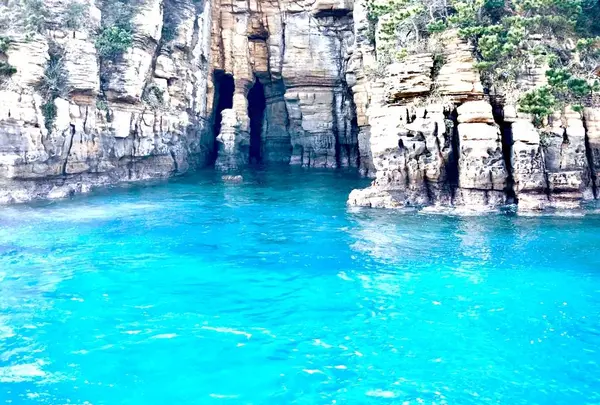 辰ノ島の写真・動画_image_334641