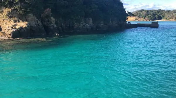 辰ノ島の写真・動画_image_334643