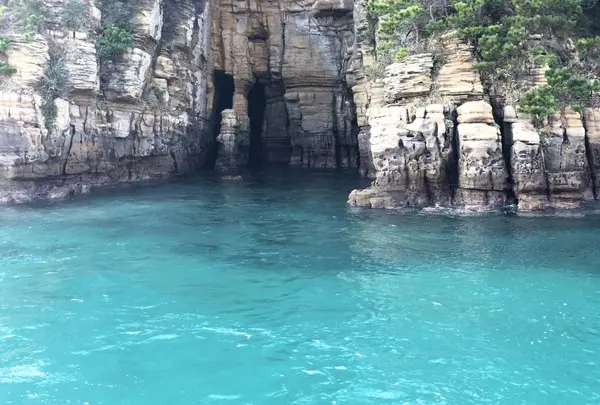 辰ノ島の写真・動画_image_334646