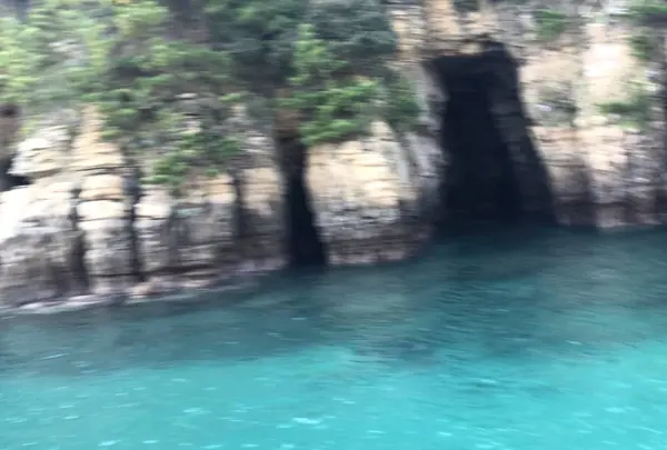 辰ノ島の写真・動画_image_334648