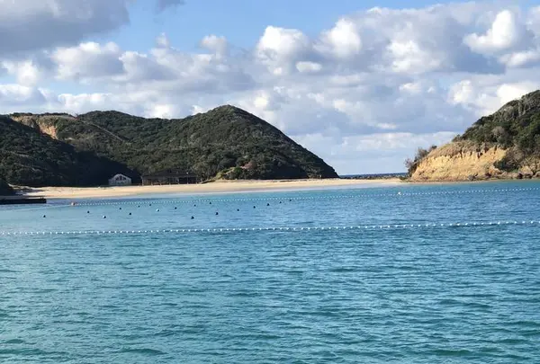 辰ノ島の写真・動画_image_334649