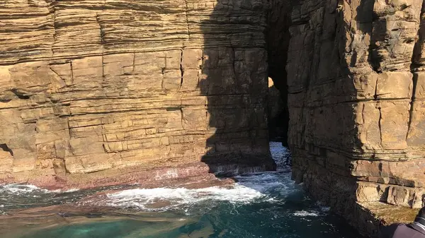 辰ノ島の写真・動画_image_334651