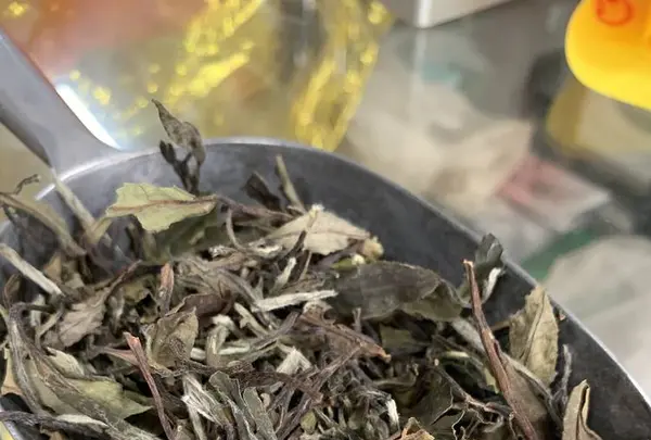 英記茶荘の写真・動画_image_334773