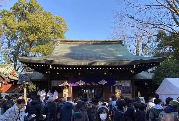 川越氷川神社の写真・動画_image_334832