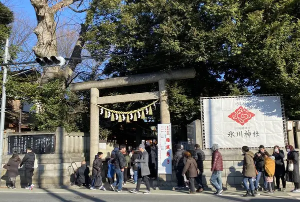 川越氷川神社の写真・動画_image_334834