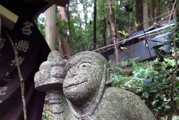 大豊神社の写真・動画_image_335250