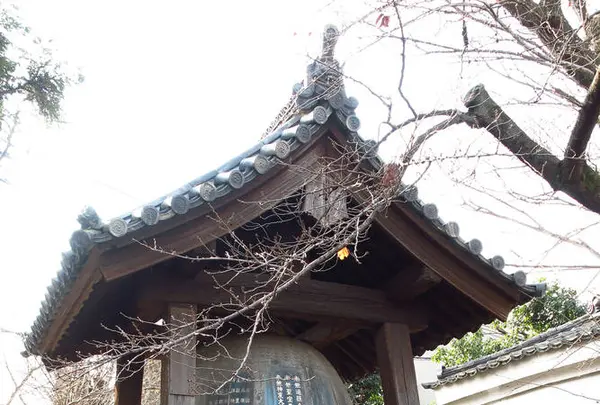 長建寺の写真・動画_image_335273