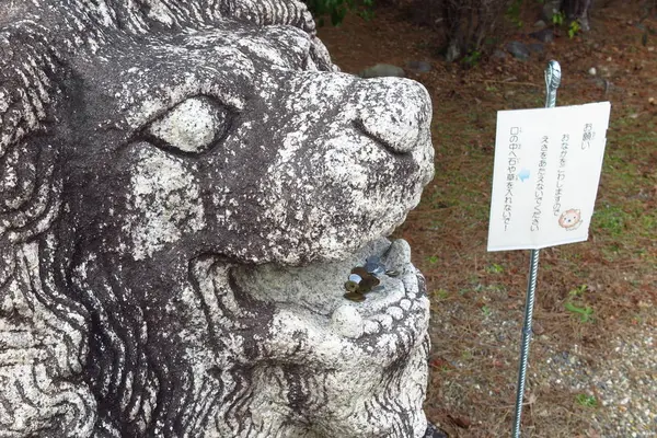 乃木神社の写真・動画_image_335286