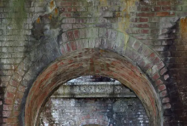 南禅寺の写真・動画_image_335438