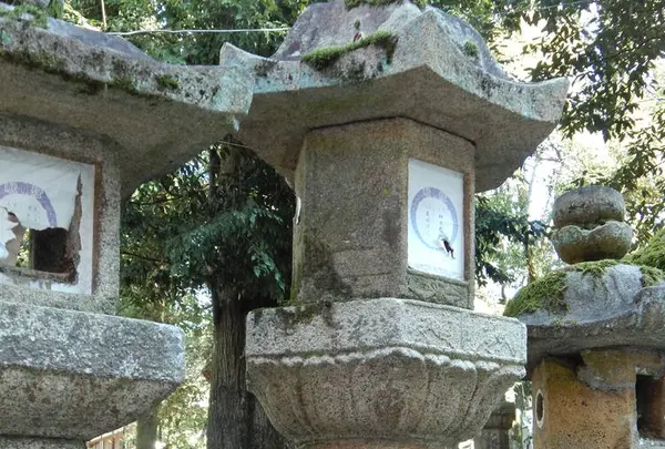 春日大社の写真・動画_image_335893