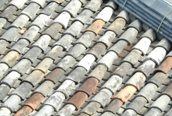 元興寺の写真・動画_image_335923