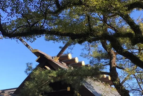 熱田神宮の写真・動画_image_336283