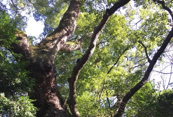 清水社の写真・動画_image_336311