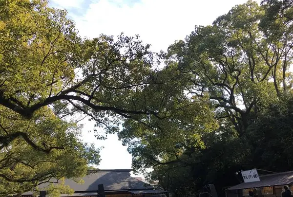 八剣宮の写真・動画_image_336330