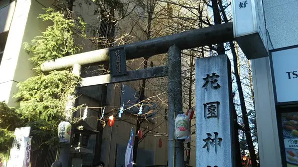 花園神社の写真・動画_image_336374