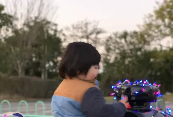 フローランテ宮崎の写真・動画_image_337210