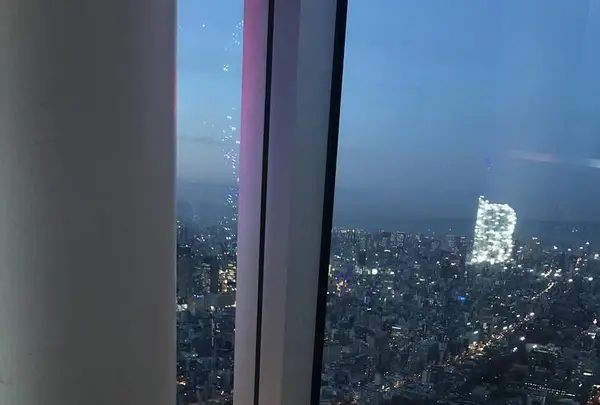 ハルカス300 展望台の写真・動画_image_337465