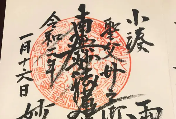 妙蓮寺の写真・動画_image_337472