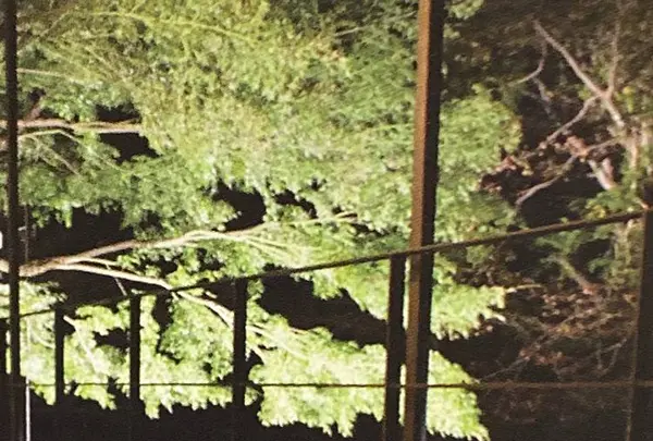 牛なべ 右近の写真・動画_image_337640