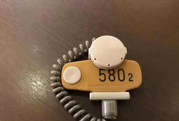 横濱スパヒルズ竜泉寺の湯の写真・動画_image_338015