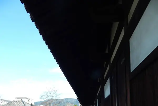 元興寺の写真・動画_image_338378