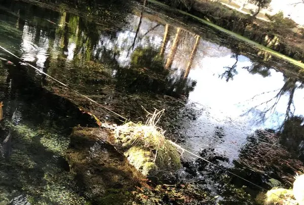 明神池名水公園の写真・動画_image_338391
